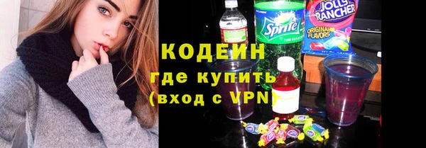 прущие грибы Березники