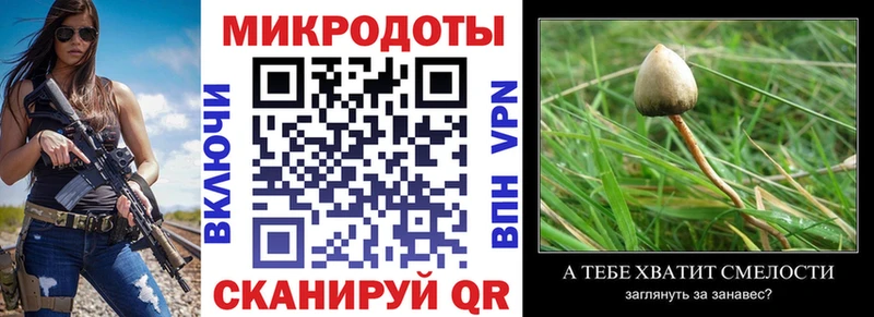 мега зеркало  Чудово  Псилоцибиновые грибы Psilocybine cubensis 