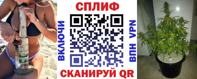 МАРИХУАНА планчик  Чудово 